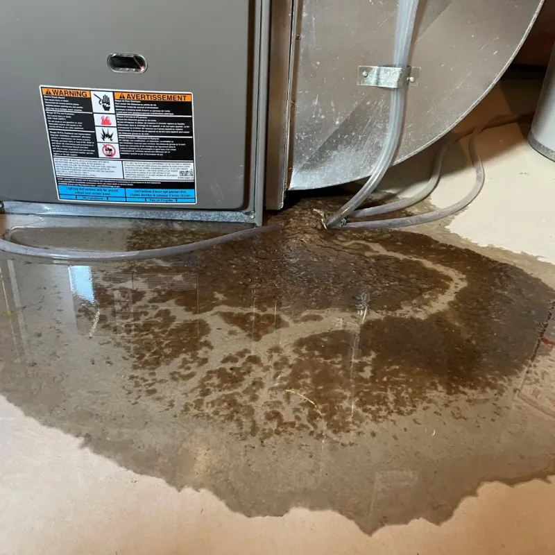Appliance Leak Cleanup in Noble County, OH
